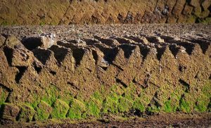 Апарат вихрового шару у виробництві торфогелю