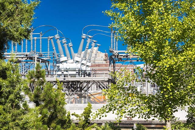 Обробка оливи для пристроїв РПН